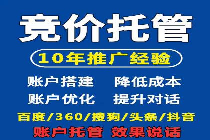 行业领先的SEM竞价广告投放案例